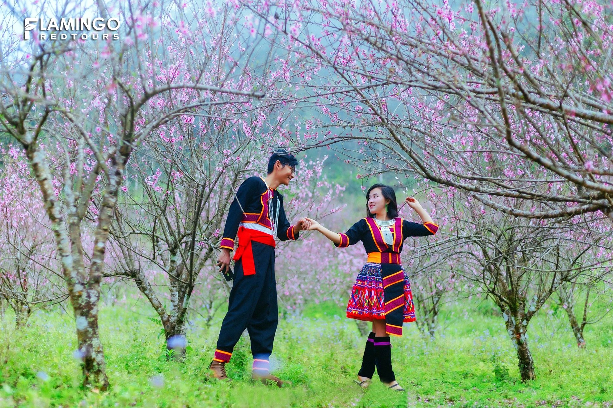 ĐÈO Ô QUY HỒ - CẦU KÍNH RỒNG MÂY - ĐỘNG PUSAMCAP - BẢN SIN SUỐI HỒ 